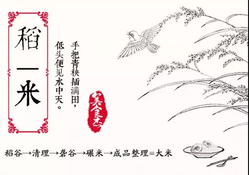 米文化 智米糧棧的千年韻味與谷類(lèi)作物的智慧