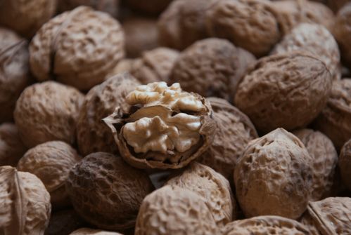 寒露養(yǎng)生正當(dāng)時(shí)，八種谷物種子助您蓄能過(guò)冬