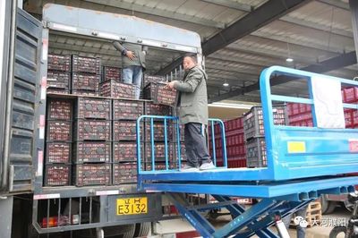 區域發展新引擎 萬邦·濮陽（清豐）豫魯冀農產品交易中心開業賦能糧油倉儲服務升級